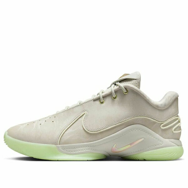 Nike ナイキ メンズ スニーカー 【Nike LeBron 22 'Dunkman' FZ1094-002】 サイズ US_11.5(29.5cm)