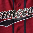 アンダーアーマー メンズ ユニフォーム トップス South Carolina Gamecocks Under Armour Performance Replica Baseball Jersey Garnet 3