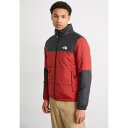 m[XtFCX Y WPbgu] AE^[ GOSEI PUFFER JACKET - Winter jacket - iron red