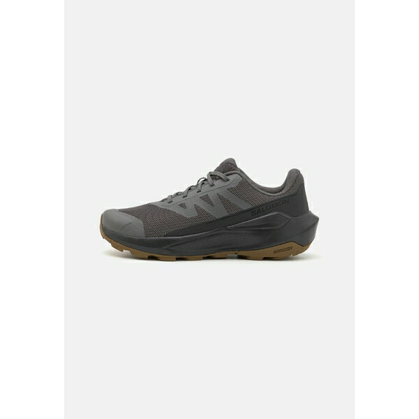   ϥ ݡ ELIXIR TOUR - Hiking shoes - castlerock/asphalt/bl...
