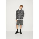 カルロ コルッチ メンズ ニット&セーター アウター RUNDHALS UNISEX - Jumper - black/grey