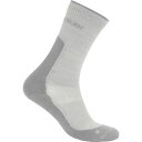 アイスブレーカー レディース 靴下 アンダーウェア Merino Hike+ Light Crew Sock - Women's Ether/Alloy