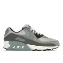 Nike iCL Y Xj[J[ yNike Air Max 90z TCY US_8(26.0cm) Pure Platinum Warm Blue