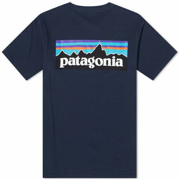 パタゴニア メンズ Tシャツ トップス Pat...の紹介画像2