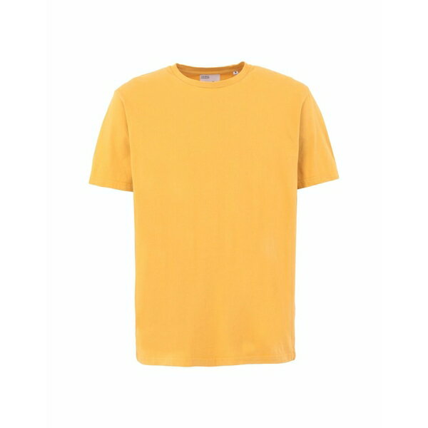 ̵ ե륹  T ȥåץ T-shirts Ocher