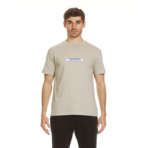 クイックシルバー メンズ シャツ トップス Men's Hi Bumper Sticker Short Sleeve Tee Pale Aloe クイックシルバー メンズ シャツ トップス Men's Hi Bumper Sticker Short Sleeve Tee Pale Aloe