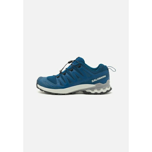 サロモン メンズ ハイキング スポーツ XA PRO 3D V9 - Hiking shoes - poseidon/icicle/alloy サロモン メンズ ハイキング スポーツ XA PRO 3D V9 - Hiking shoes - poseidon/icicle/alloy