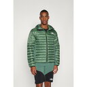 ノースフェイス メンズ バスケットボール スポーツ TERRA PEAK HYBRID HOODIE - Outdoor jacket - duck green