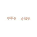 yz WbNAhR[ fB[X sAXCO ANZT[ Earrings Copper