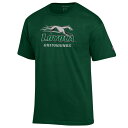 チャンピオン メンズ Tシャツ トップス Loyola Greyhounds Champion Pr ...