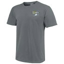 イメージワン メンズ Tシャツ トップス Georgia Southern Eagles Hyperlocal Comfort Colors TShirt Gray