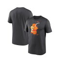 ナイキ レディース Tシャツ トップス Men's Charcoal Houston Astros Juice Hometown Legend Performance T-shirt Charcoal