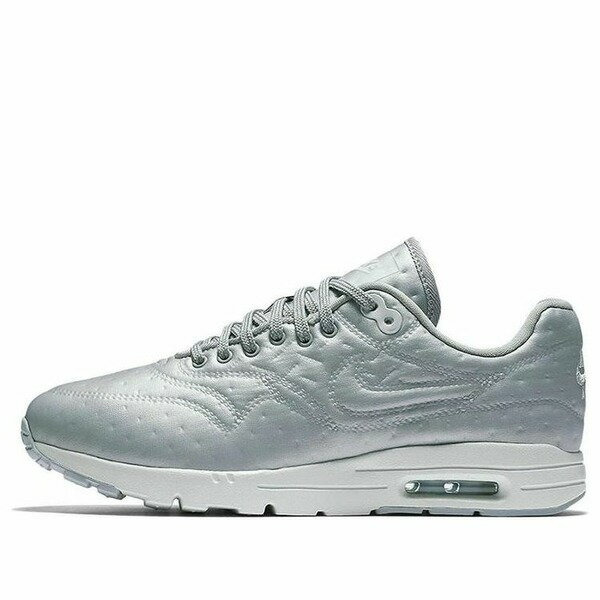 asty㤨Nike ʥ ǥ ˡ Metallic Silver/Matte Silver (WMNS Nike Air Max 1 Premium 'Metallic Silver' 861656-002  US_5(22.0cmפβǤʤ26,800ߤˤʤޤ