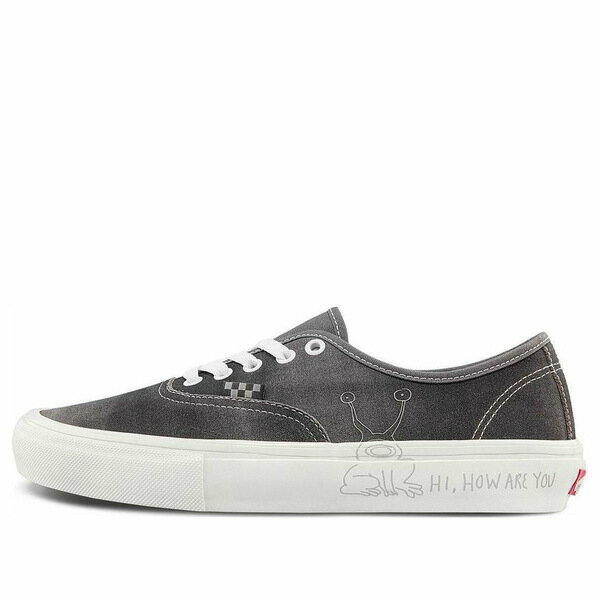 Vans バンズ メンズ スニーカー 【Vans Daniel Johnston x Skate Authentic 'Hi, How Are You Project' VN0A5FC8AO7】 サイズ US_M_4.5