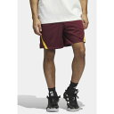 アディダス メンズ バスケットボール スポーツ SELECT SUMMER - Sports shorts - shadow red