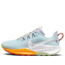 Nike ナイキ レディース スニーカー 【(WMNS) Nike Pegasus Trail 5 'Sundial Daybreak' DV3865-402】 サイズ US_W_10(4)