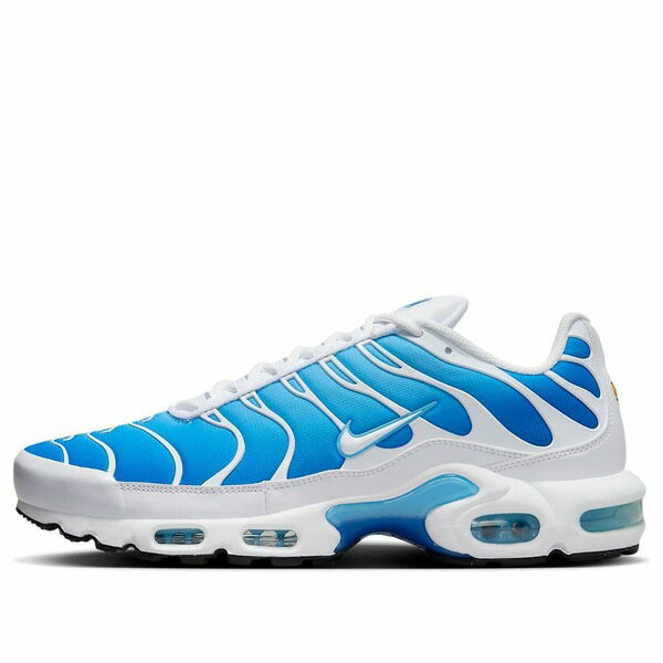 Nike ナイキ メンズ スニーカー エアマックス 【Nike Air Max Plus 'Sky Blue' 852630-411】 サイズ US_7(25.0cm)