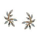 iAh[ fB[X sAXCO ANZT[ Gold-Tone Stone Leaf Statement Stud Earrings White