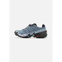 サロモン レディース テニス スポーツ SPEEDCROSS 6 GTX - Trail running shoes - gray