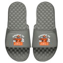 アイスライド メンズ サンダル シューズ Ja'Marr Chase NFLPA ISlide x BreakingT Ja'Marr Of The Jungle Slide Sandals Gray