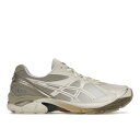 ASICS AVbNX Y Xj[J[ yASICS GT-2160z TCY US_11(29.0cm) DIME Arctic Wolf