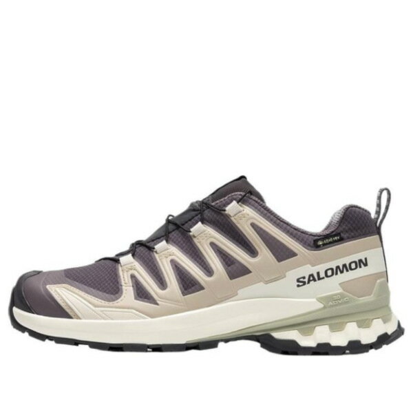 SALOMON サロモン メンズ スニーカー 【Salomon XA Pro 3D V9 GTX 'Dark Grey Beige' 477447】 サイズ US_M_13