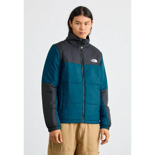 ノースフェイス メンズ ジャケット＆ブルゾン アウター GOSEI PUFFER JACKET - Winter jacket - midnight petrol