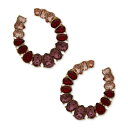 ANC fB[X sAXCO ANZT[ Gold-Tone Color Stone Front-Facing Hoop Earrings Red