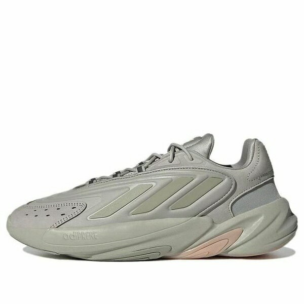 adidas アディダス メンズ スニーカー 【adidas Ozelia 'Metallic Grey' GX4024】 サイズ US_6(24.0cm)