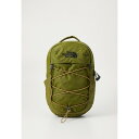 ノースフェイス レディース バックパック・リュックサック バッグ BOREALIS MINI BACKPACK UNISEX - Rucksack - forest olive/utility brown(4)