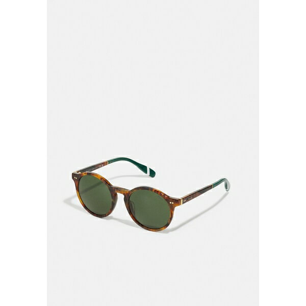 ե  󥰥饹 ꡼ Sunglasses - shiny brown tortoise