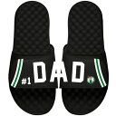 アイスライド メンズ サンダル シューズ Boston Celtics ISlide Dad Slide Sandals Black
