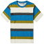 カーハート メンズ Tシャツ トップス Carhartt WIP Crouser Stripe T-Shirt Multi