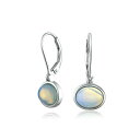 ブリング レディース ピアス&イヤリング アクセサリー Simple Bezel Set Dangle Earrings with Amber Jade Moonstone Onyx White(4)