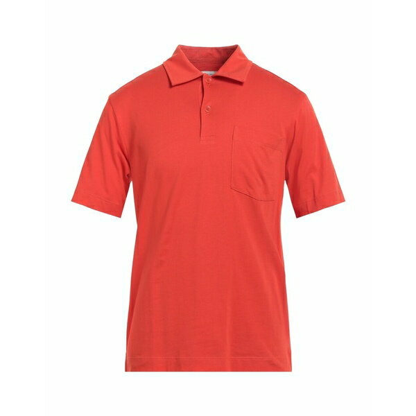 ̵ ɥꥹ󡦥Υåƥ  ݥ ȥåץ Polo shirts Tomato red