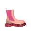 ̵ å  ֡ 塼 Ankle boots Fuchsia