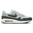 Nike iCL Y Xj[J[ GA}bNX yNike Air Max 1 '86z TCY US_9(27.0cm) Big Bubble Light Silver (Numbered Edition of 1986)