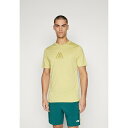 ノースフェイス メンズ バスケットボール スポーツ GRAPHIC - Sports T-shirt - pistachio heather