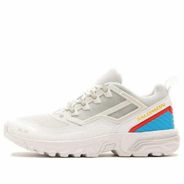 SALOMON サロモン メンズ スニーカー 【SALOMON ACS + FT 'White Pewter' 474355】 サイズ US_12(30.0cm)