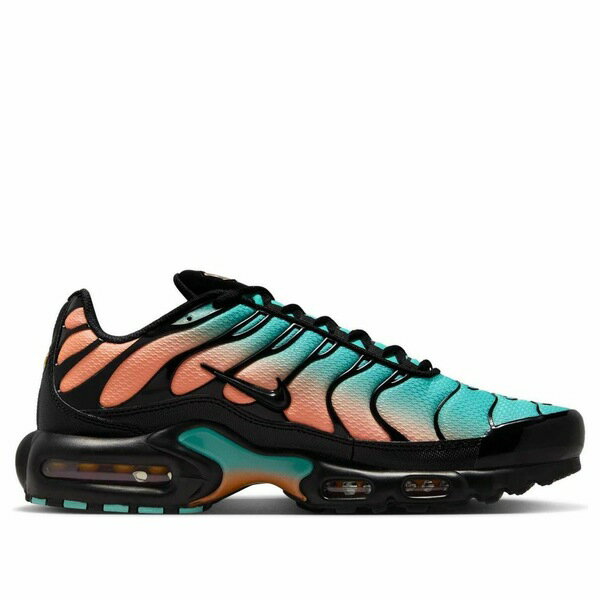 Nike ナイキ メンズ スニーカー 【Nike Air Max Plus 'South Beach' DM0032-022】 サイズ US_12.5(30.5cm)
