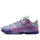 Nike ナイキ メンズ スニーカー 【Nike Lebron 22 EP 'Frozen Grapes' HV8453-001】 サイズ US_9.5(27.5cm)