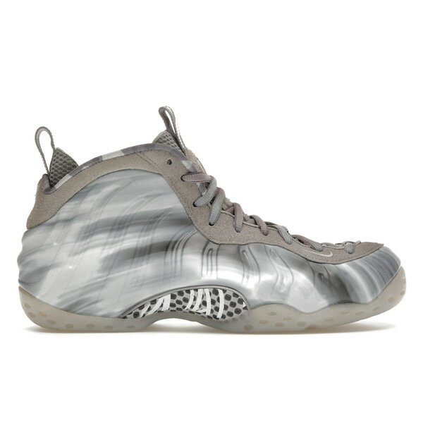 Nike ナイキ メンズ スニーカー 【Nike Air Foamposite One Dream A World Grey】 サイズ US_10(28.0cm) Wolf Grey/Multi-Color