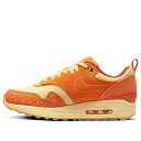 Nike ナイキ レディース スニーカー 【Nike Air Max 1 'Somos Familia'】 サイズ US_6.5(23.5cm)(4)