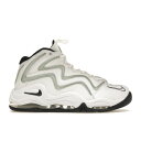 Nike ナイキ メンズ スニーカー 【Nike Air Pippen】 サイズ US_8(26.0cm) White Silver Black (2010)