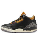 Air Jordan ジョーダン レディース スニーカー 【Air Jordan 3 Retro 'Black Gold'】 サイズ US_9(26.0cm)(4)