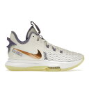 Nike ナイキ メンズ スニーカー 【Nike LeBron Witness 5】 サイズ US_10(28.0cm) Summit White Metallic Bronze