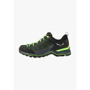 サレワ メンズ バスケットボール スポーツ MOUNTAIN TRAINER LITE GORE TEX - Hiking shoes - myrtle/omb...