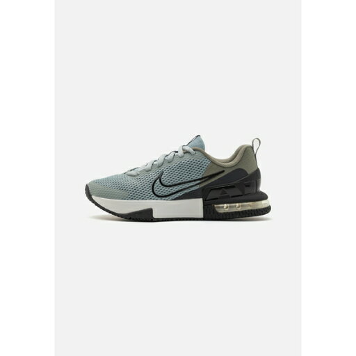ナイキ メンズ バスケットボール スポーツ AIR MAX ALPHA TRAINER 6 - Training shoe - light silver/dark stucco/pure platinum/anthracite ナイキ メンズ バスケットボール スポーツ AIR MAX ALPHA TRAINER 6 - Training shoe - light silver/dark stucco/pure platinum/anthracite
