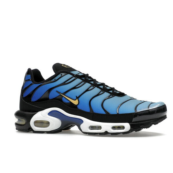 Nike ナイキ メンズ スニーカー 【Nike Air Max Plus OG Hyper Blue】 サイズ US_8.5(26.5cm) Black/Chamois/Sky Blue/Hyper Blue
