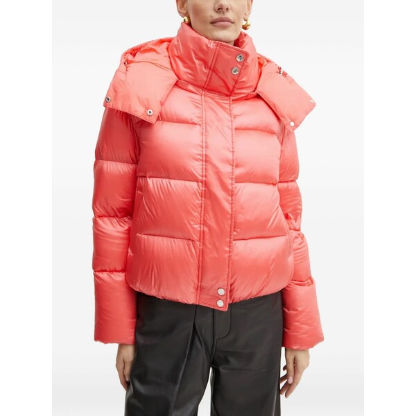 パトリツィア ペペ レディース ジャケット＆ブルゾン アウター Buttoned padded jacket Orange